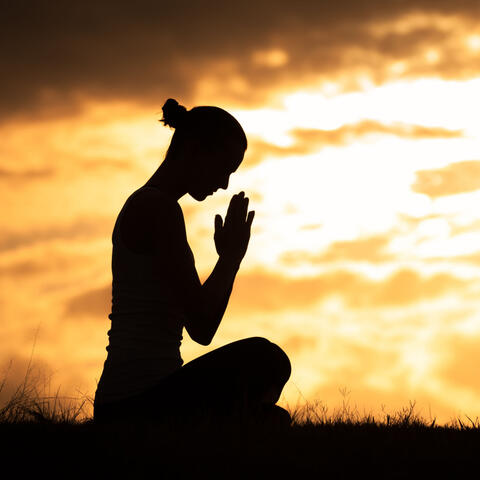 Serene Echoes: ASMR Ambiance for Serene Mindfulness