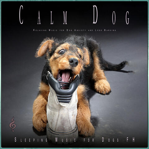 Calm Dog: Relaxing Music for Dog Anxiety and Less Barking