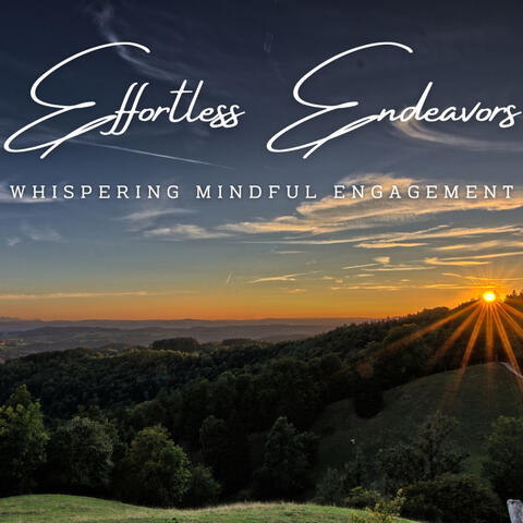 Effortless Endeavors: Meditative Work Music