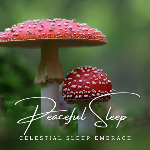 Serenity's Dreamscapes: Meditative Sounds for Peaceful Sleep