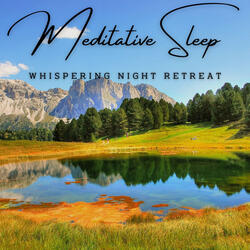 Serene Moonlit Melodies