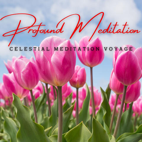 Elevate: Meditative Melodies for Profound Meditation