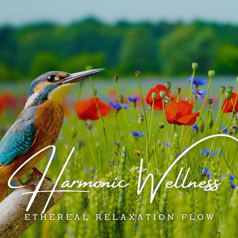Harmonic Wellness: Tranquil Resonance