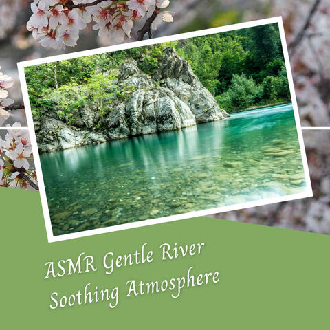 ASMR Gentle River Soothing Atmosphere