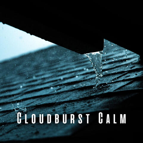 Cloudburst Calm: Rain on Roof and Wind for Total Relaxation