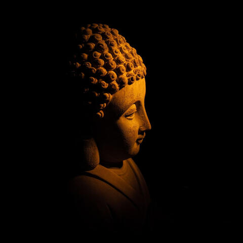 Lofi Mindful Retreat: Elevating Meditation with Serenity