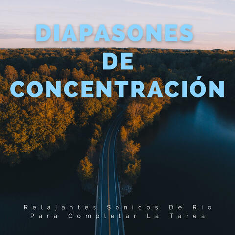 Diapasones De Concentración: Relajantes Sonidos De Río Para Completar La Tarea