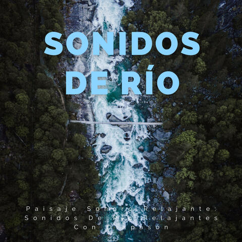 Paisaje Sonoro Relajante: Sonidos De Río Relajantes Con Diapasón