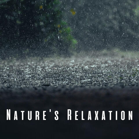 Nature's Relaxation: Serene Light Rain Tones with Bird Songs