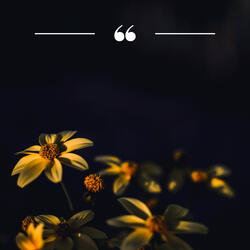 Labyrinths for Focus