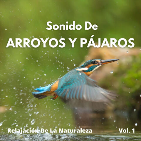 Relajación De La Naturaleza: Sonido De Arroyo De Montaña Y Pájaros Río Vol. 1