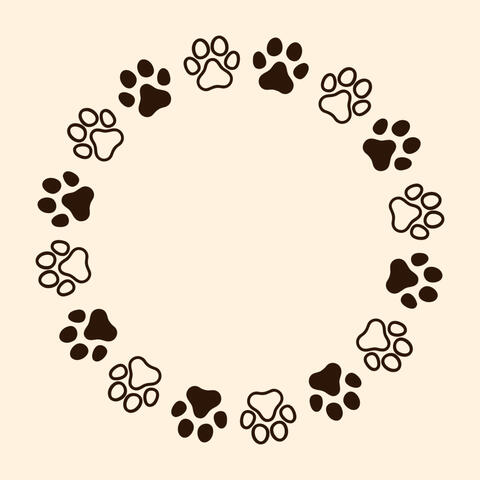 Piano for Cats: Whisker Melodies