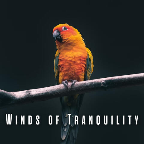 Winds of Tranquility: Birds and Heavy Rain for Relaxation Retreat