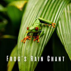 Frog's Drizzly Melodies