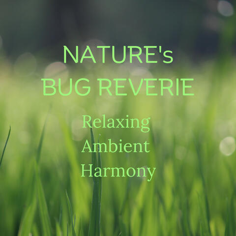 Nature's Bug Reverie: Relaxing Ambient Harmony