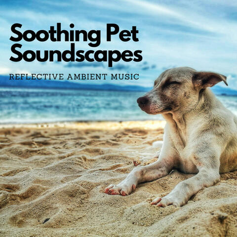 Soothing Pet Soundscapes: Reflective Ambient Music