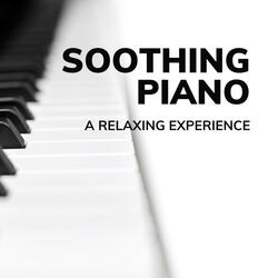 Piano Spaces for Relaxation