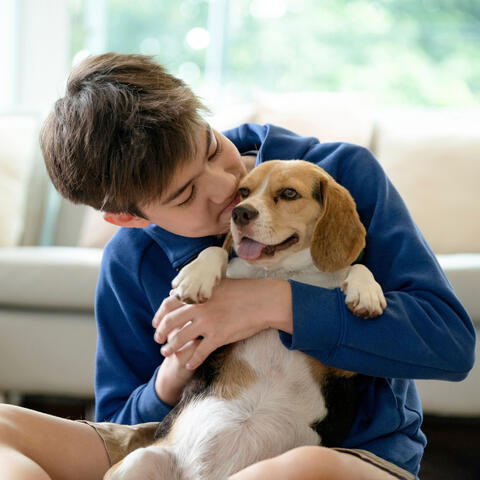 Loving Pet Pawprints: Lofi Melodies of Togetherness