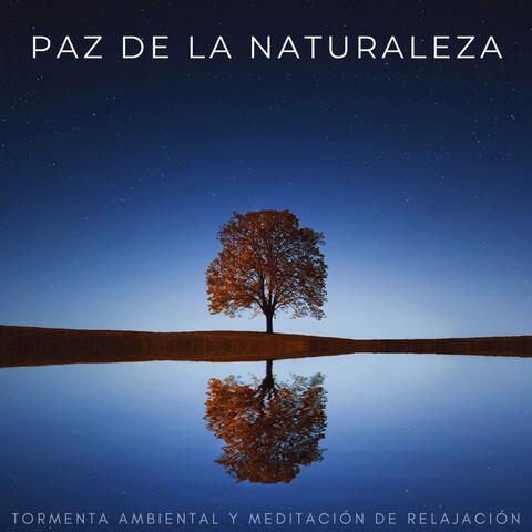 Paz De La Naturaleza: Tormenta Ambiental Y Meditación De Relajación