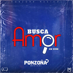 Busca Amor