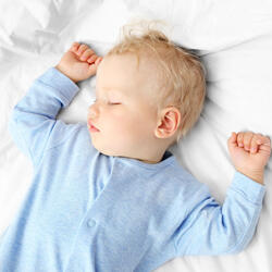 Cooing Meets the Rhythm