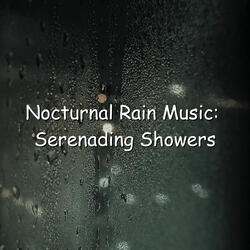 Moonlit Rainfall Serenade