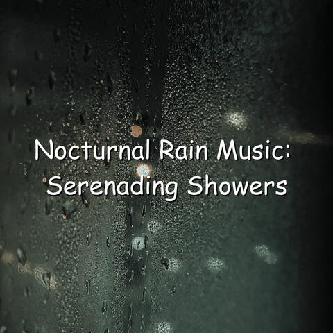 Nocturnal Rain Music: Serenading Showers