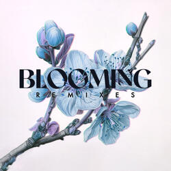 Blooming