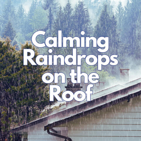 Calming Raindrops on the Roof