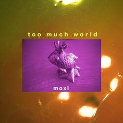 Too Much World