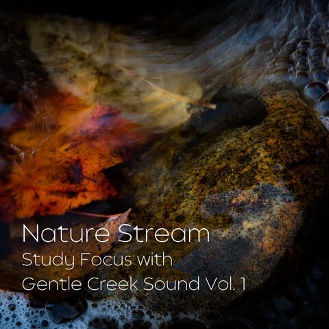 Nature Stream: Study Focus with Gentle Creek Sound Vol. 1
