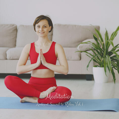 Meditation: Ambient Sound to Relax Vol. 1