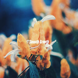 Lonely Ambience for Chasing Perfection