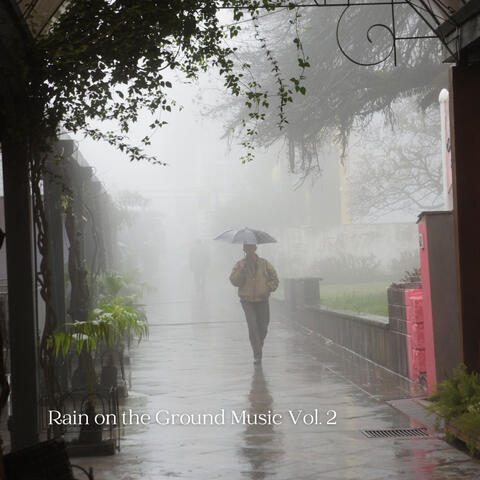 Rain on the Ground Music Vol. 2