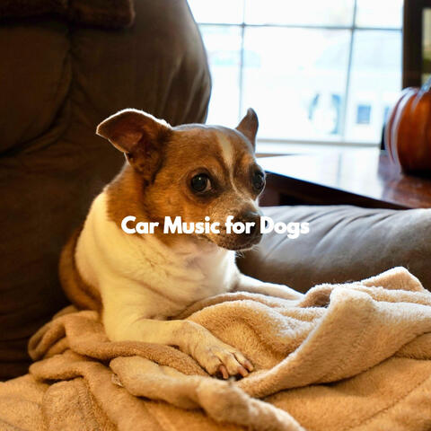 Car Music for Dogs