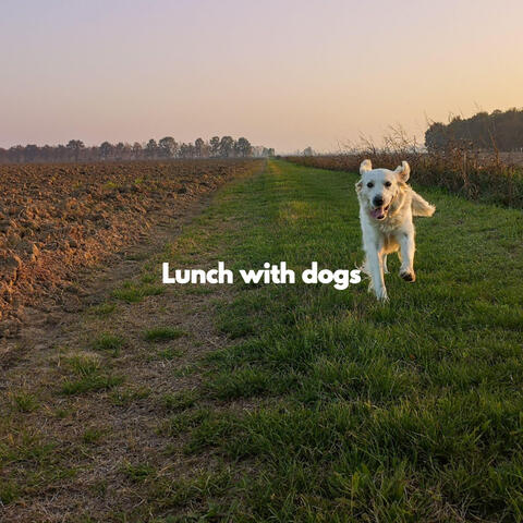 Lunch with dogs