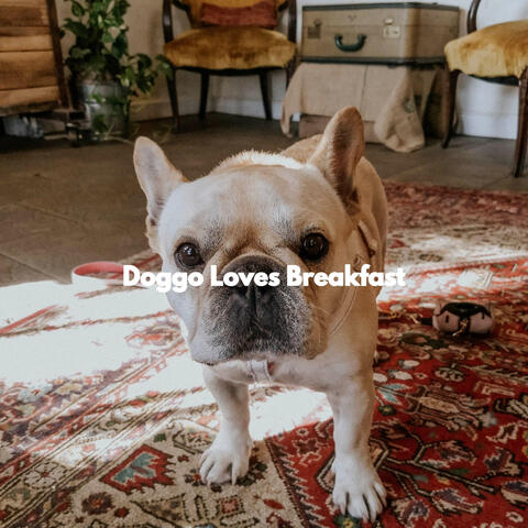 Doggo Loves Breakfast