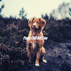 Dashing Waltz - Vibe for The Bestest Friends