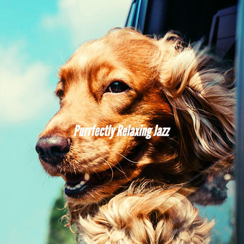 Purrfectly Relaxing Jazz