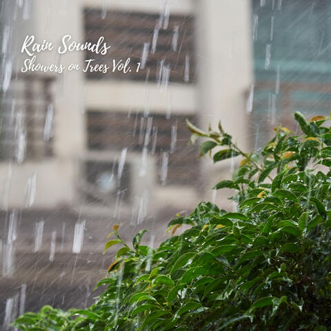 Rain Sounds: Showers on Trees Vol. 1