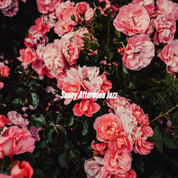 Festive Moods for Light Auras