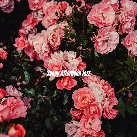 Sunny Afternoon Jazz