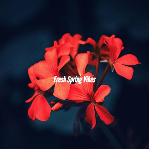Fresh Spring Vibes
