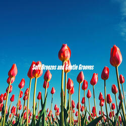 Romantic Light Auras