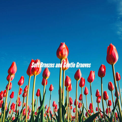 Soft Breezes and Gentle Grooves