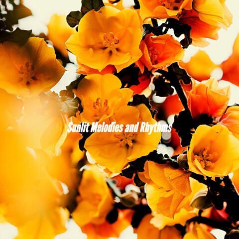 Sunlit Melodies and Rhythms