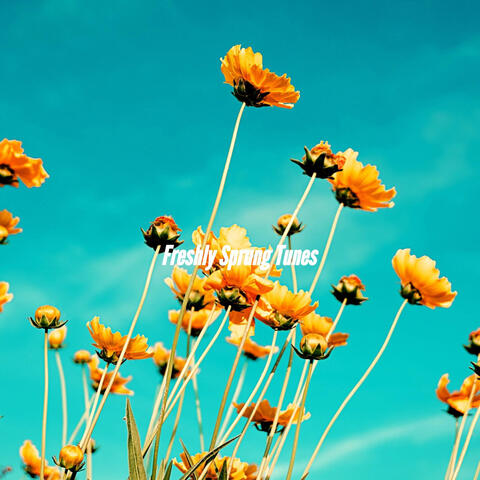 Freshly Sprung Tunes