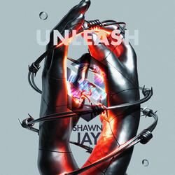 Unleash