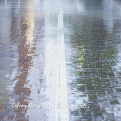 Merely Rain