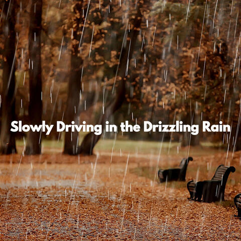 Slowly Driving in the Drizzling Rain